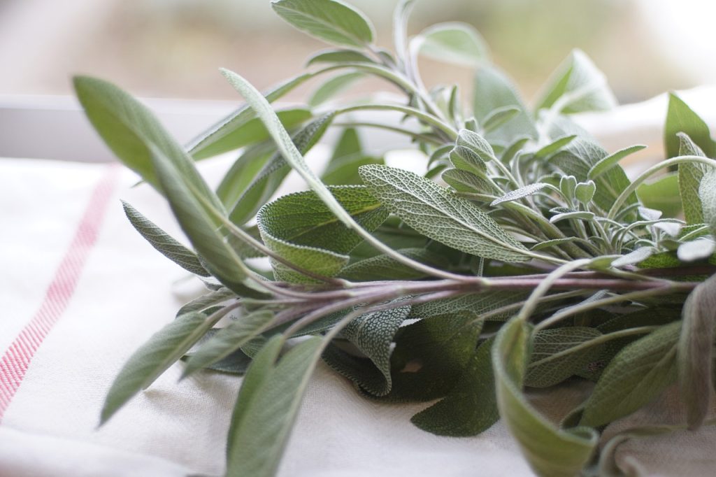 sage, herb, food-4367047.jpg